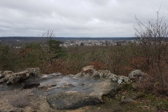 ACP - Parcours libre - 200 km - Fontainebleau