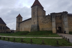 ACP - Parcours libre - 200 km - Fontainebleau