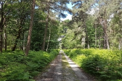 ACP - Parcours libre - 200 km - Vallée de Chevreuse